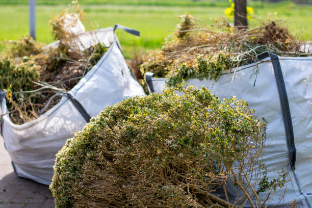 Best Commercial Cleanout Services  in Hunter, OH